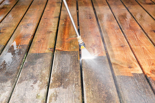 Best Sidewalk Pressure Washing  in Lake Alfred, FL