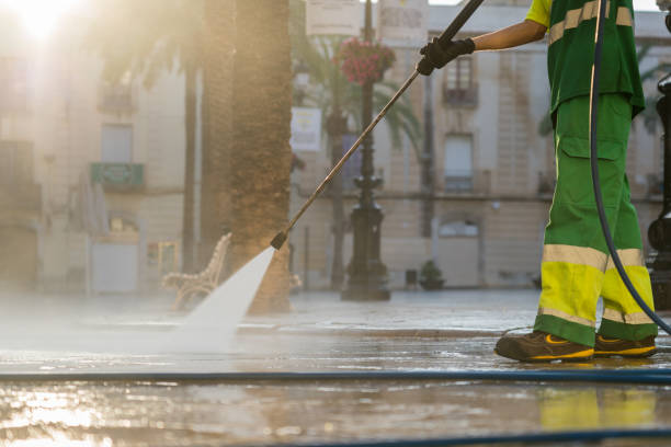 Best Fence Pressure Washing  in Lake Alfred, FL