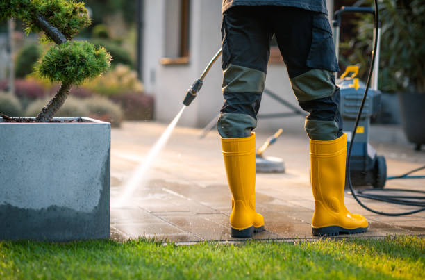 Best Affordable Pressure Washing  in Lake Alfred, FL